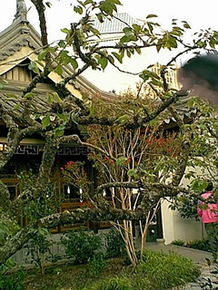 One of the pagodas at the Chinese Garden